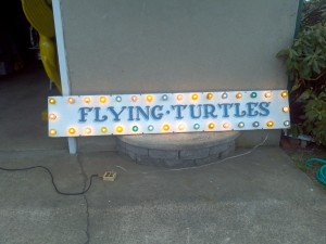 flying turtles 3