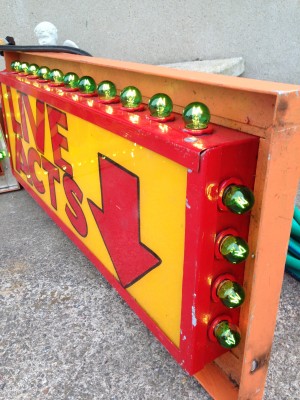 sideshow circus alive animated signs7