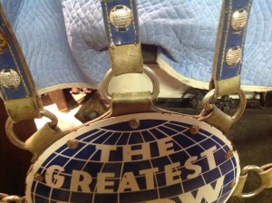 elephant headdress 2015 a