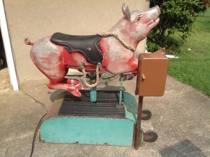 pig ride cion op 1