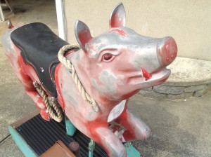 pig ride cion op 10