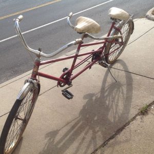 bike-two-seater-2