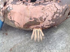 turtle amusement park better 1