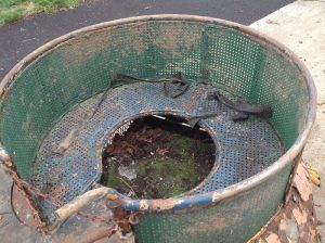 turtle amusement park better 8