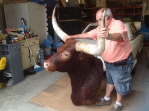 taxidermy bull 3