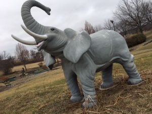 elephant minature golf 1 2018