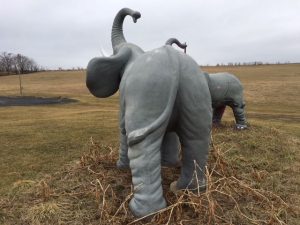 elephant minature golf 2 2018