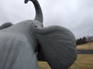 elephant minature golf 3 2018