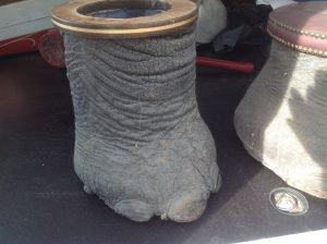elephant foot unbrella stand