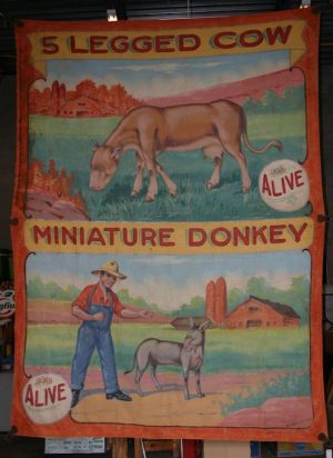 banner 2018 fiveleggedcow1