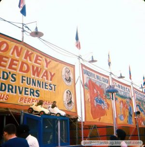 monkey speedway live
