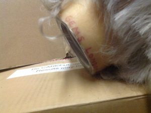 wax museum rip drawf 5