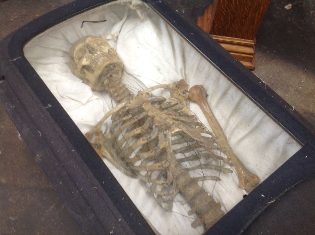 Odd Fellows Furniture Casket & Skeleton « Obnoxious Antiques